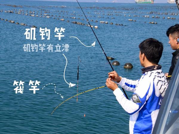 渤海海钓风向(渤海钓鱼风向顺口溜) 渤海海钓风向(渤海钓鱼风向顺口溜)