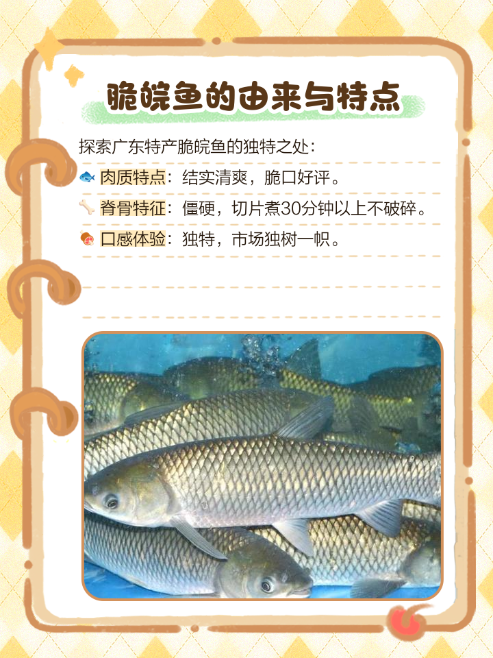 钓皖鱼的技巧(八个月的宝宝眼屎多怎么回事?) 钓皖鱼的技巧(八个月的宝宝眼屎多怎么回事?)