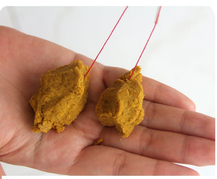 大黄面是什么饵料(大黄面的功效与作用) 大黄面是什么饵料(大黄面的功效与作用)