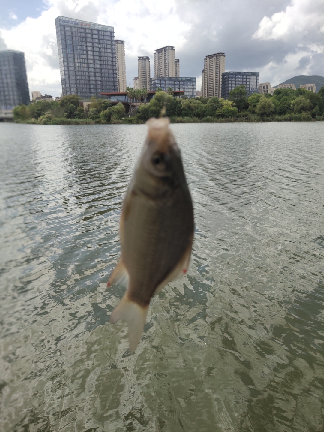 明月海钓(明月海藻肥业有限公司集团) 明月海钓(明月海藻肥业有限公司集团)