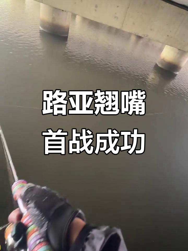 中午桥洞路亚(路亚桥洞抛投技巧)
