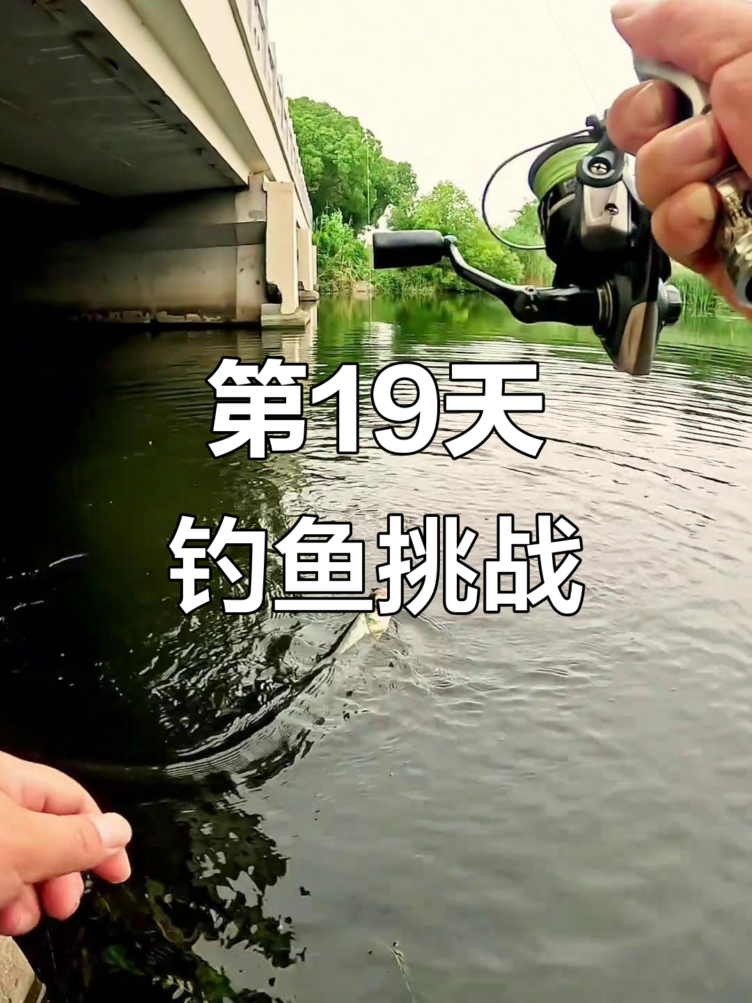 中午桥洞路亚(路亚桥洞抛投技巧)