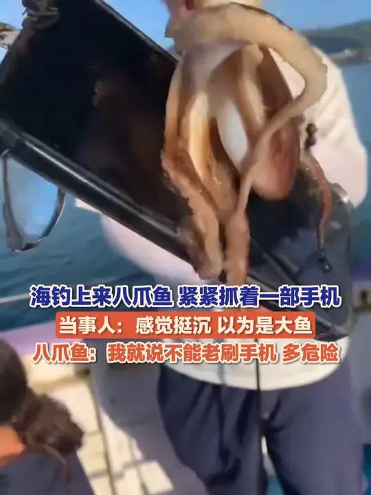 海钓八爪(海钓八爪钩怎么用)