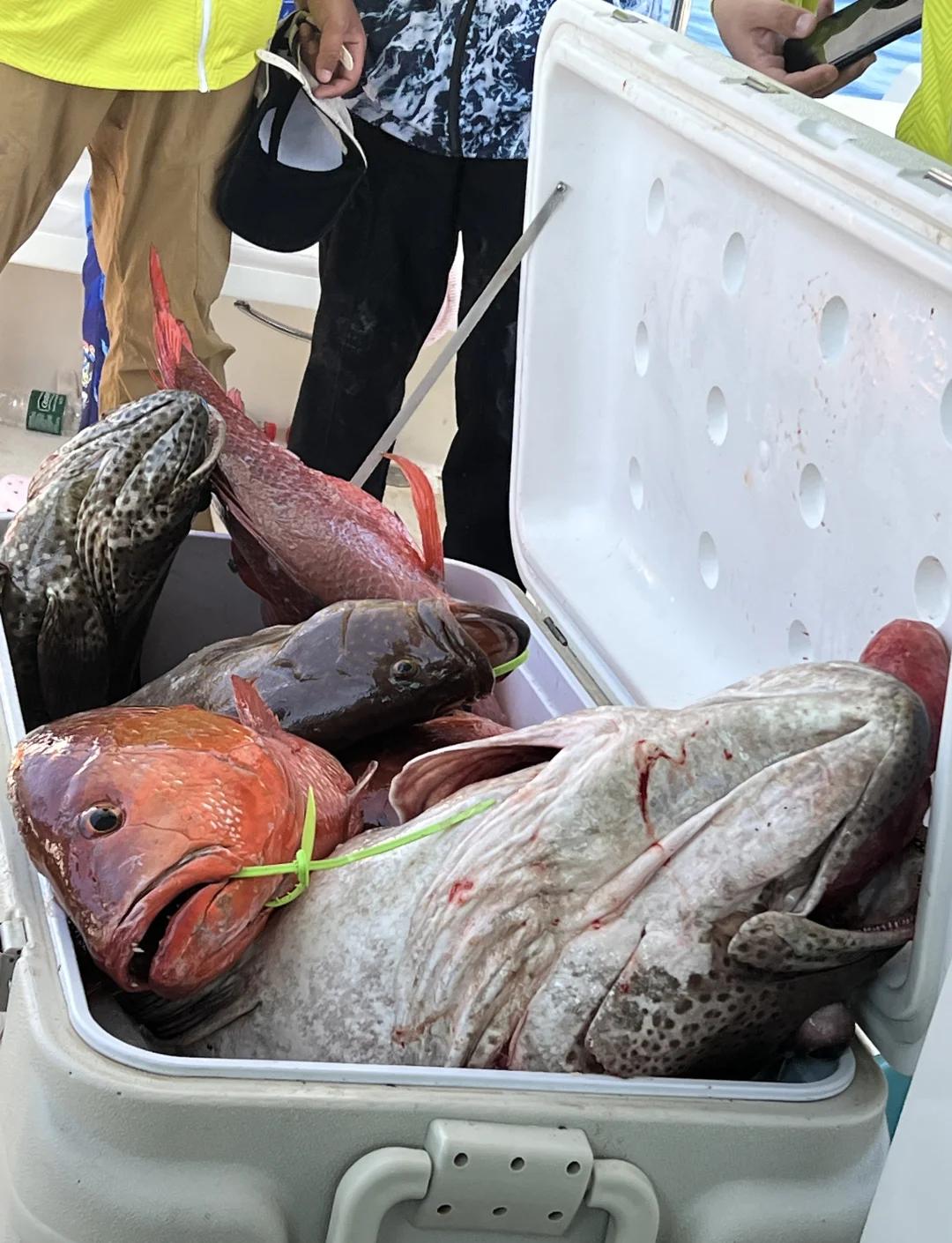 海钓适合在几点(海钓选择什么时间钓) 海钓适合在几点(海钓选择什么时间钓)