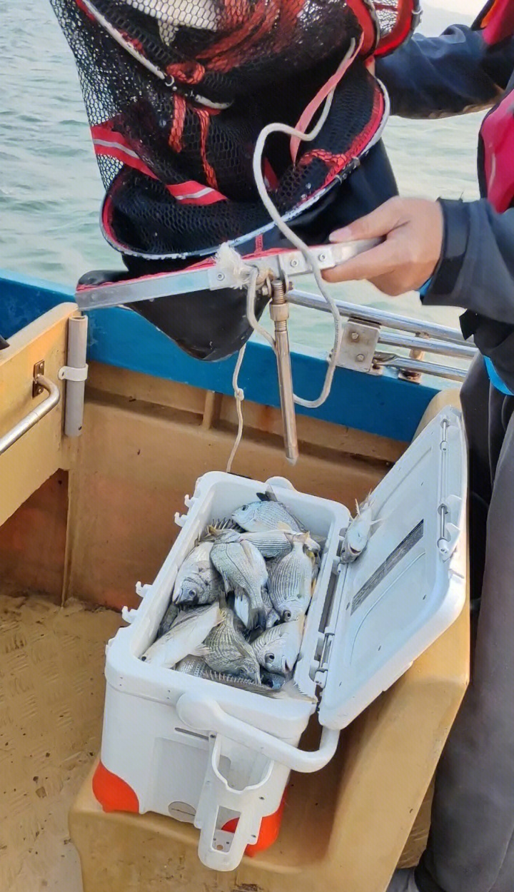 东凤海钓场(离我最近的野钓的地方) 东凤海钓场(离我最近的野钓的地方)