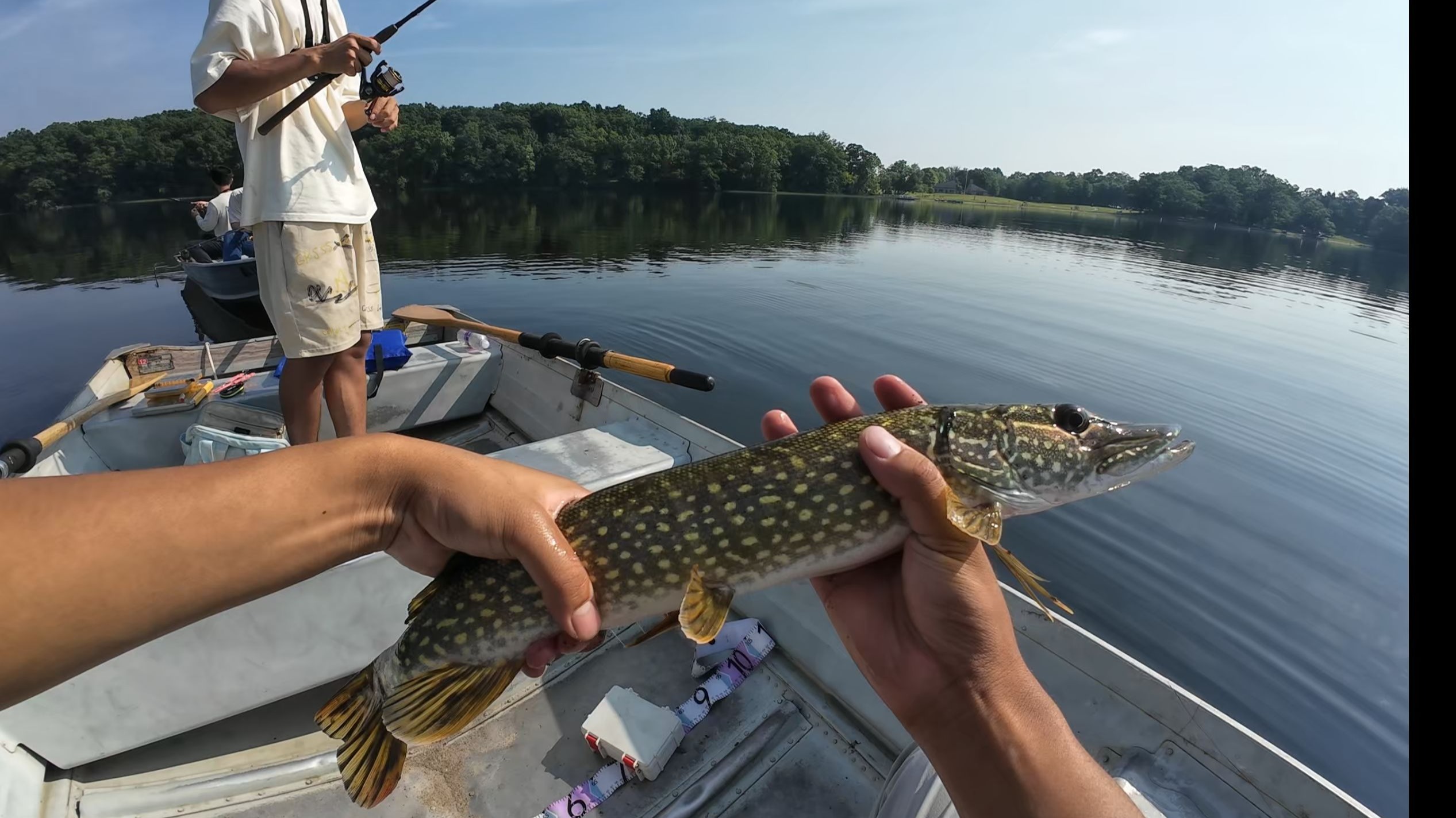 包含恰库路亚的词条