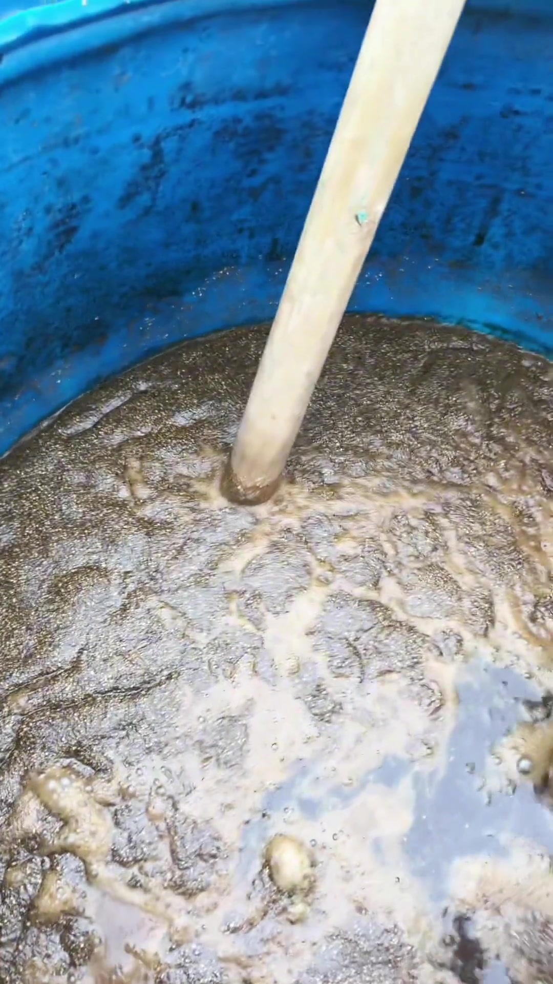 饵料的发酵(饵料发酵变酒味好钓鱼吗?) 饵料的发酵(饵料发酵变酒味好钓鱼吗?)