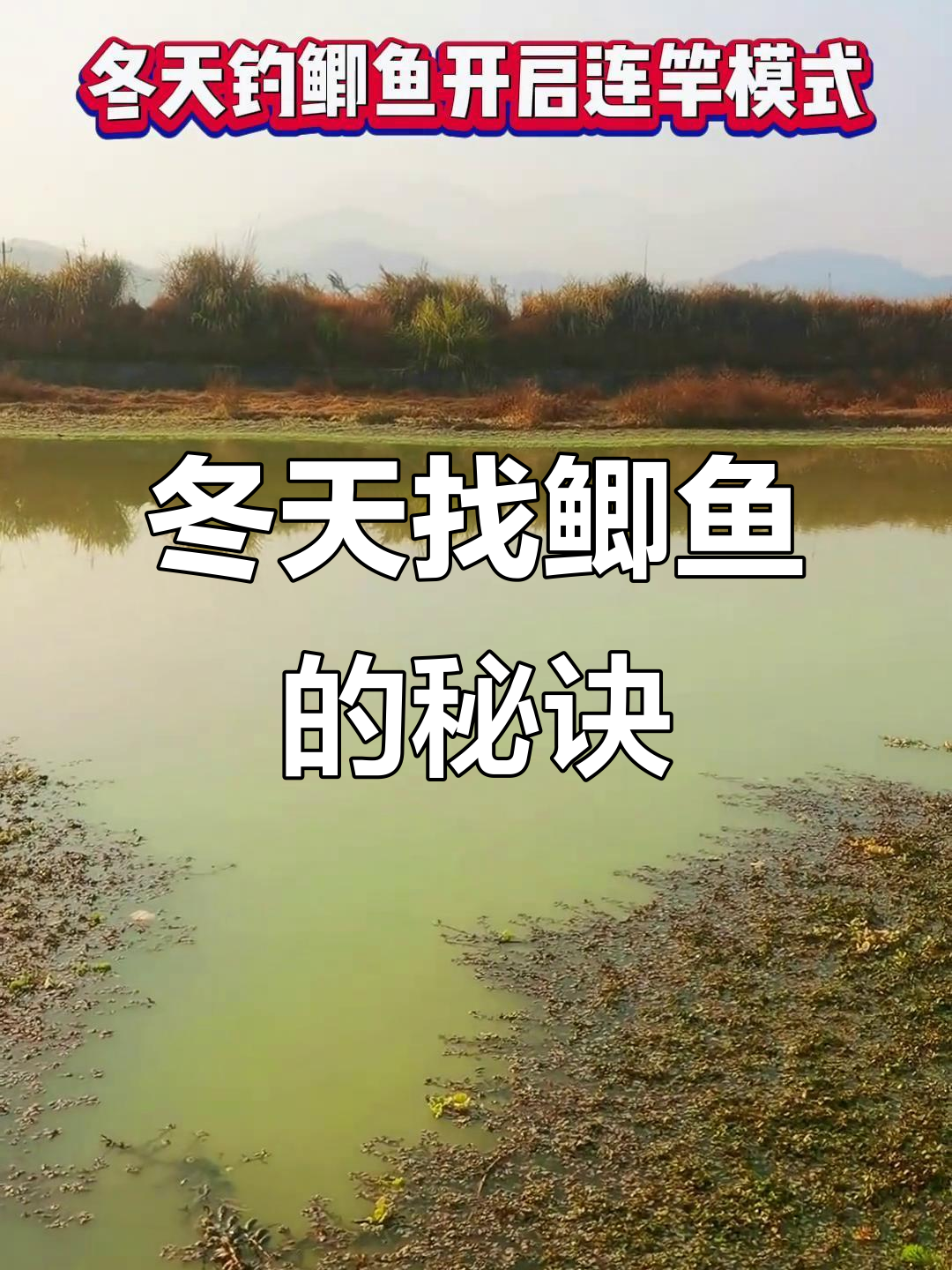 冬季鲫鱼技巧(冬季鲫鱼怎么调漂) 冬季鲫鱼技巧(冬季鲫鱼怎么调漂)