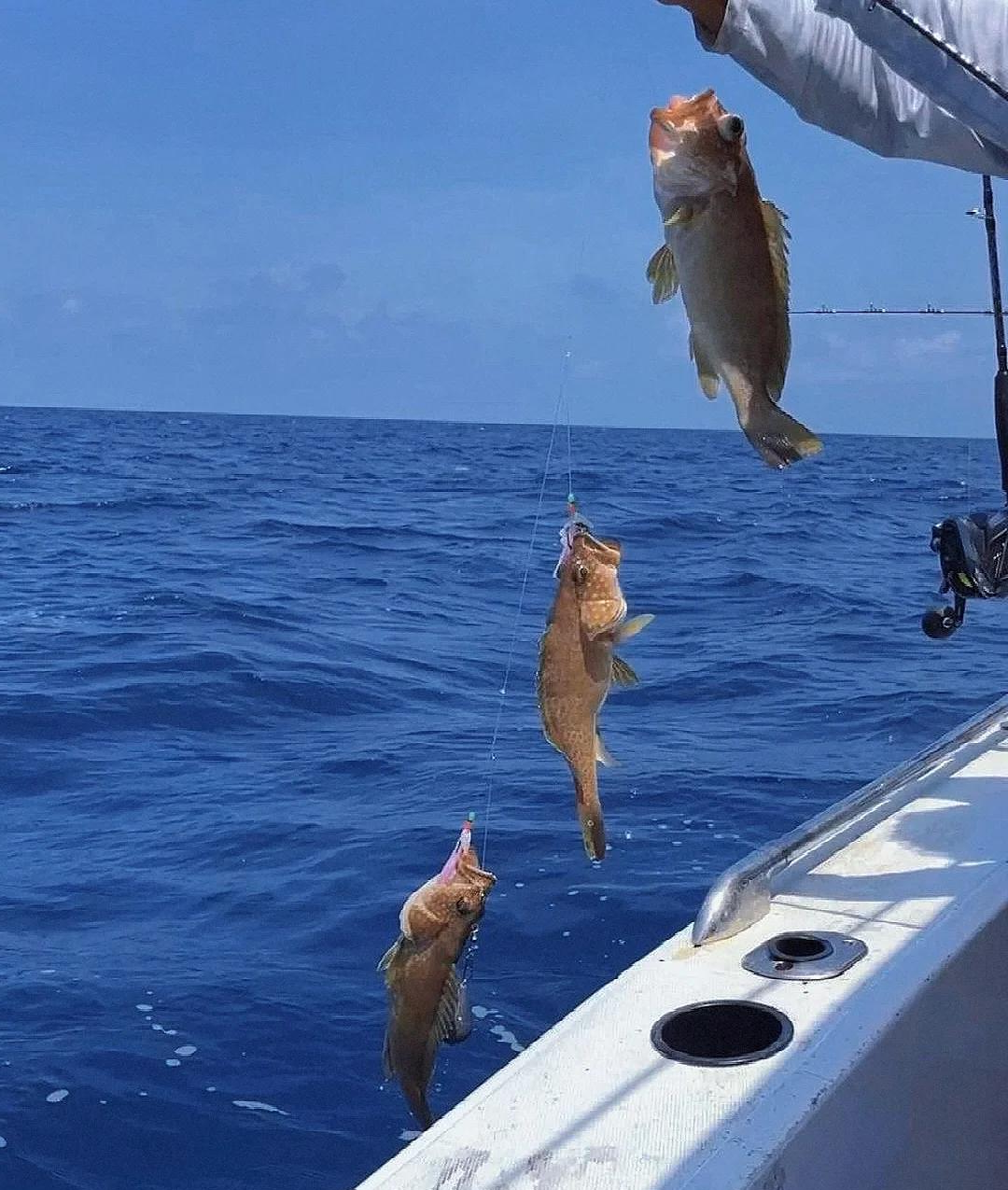 海钓玩家马列岛(桂山岛为什么叫垃圾尾岛) 海钓玩家马列岛(桂山岛为什么叫垃圾尾岛)