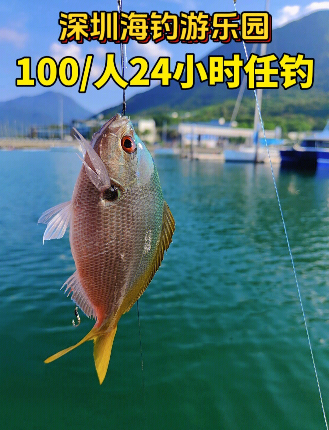 湘江海钓(湘江钓鱼攻略) 湘江海钓(湘江钓鱼攻略)