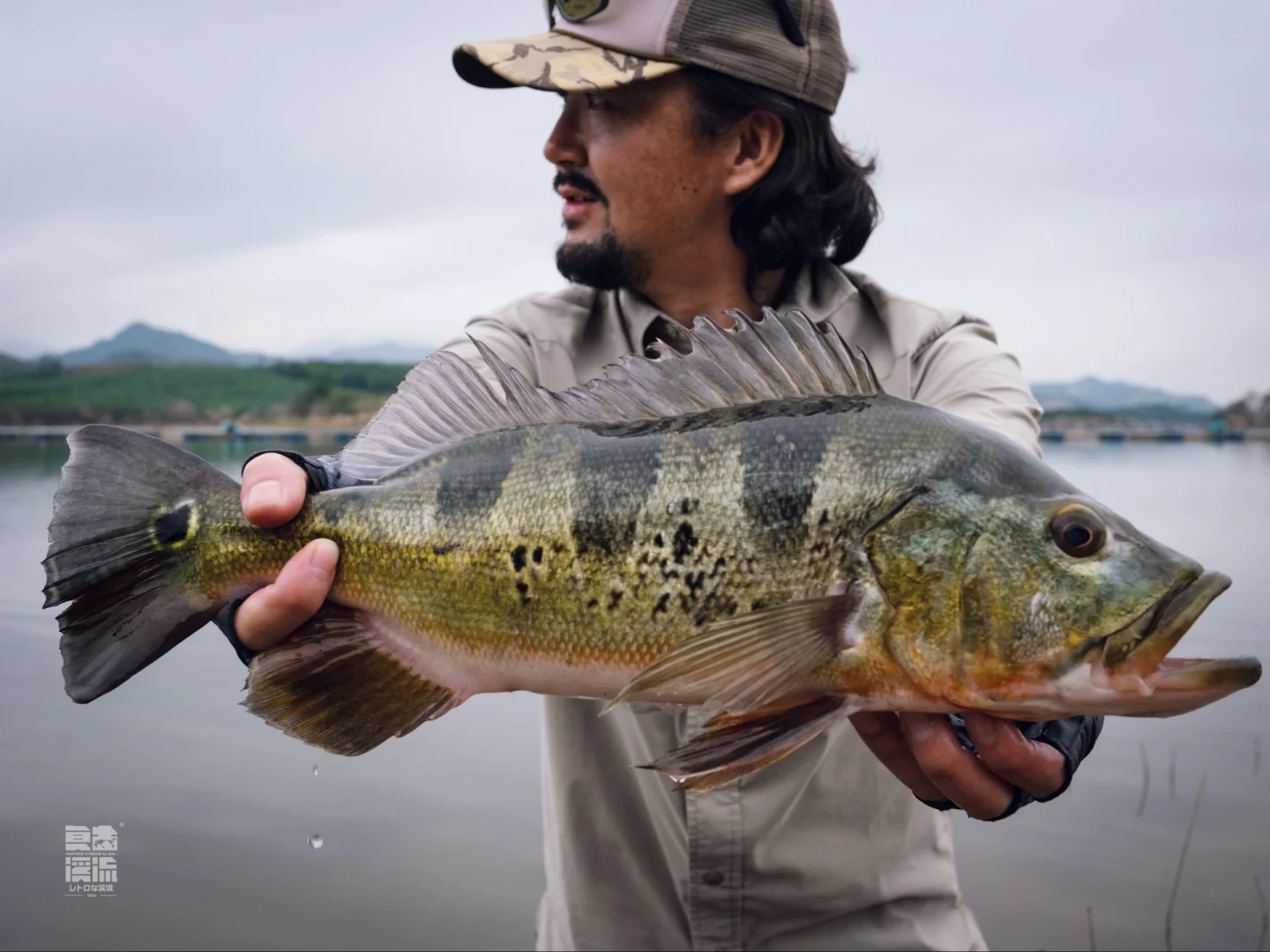 路亚中文拼音(路亚英文什么意思) 路亚中文拼音(路亚英文什么意思)