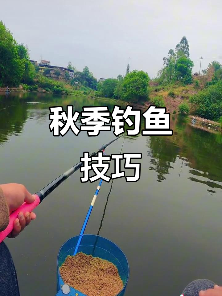秋天河边钓鱼技巧(秋天野河钓鱼) 秋天河边钓鱼技巧(秋天野河钓鱼)