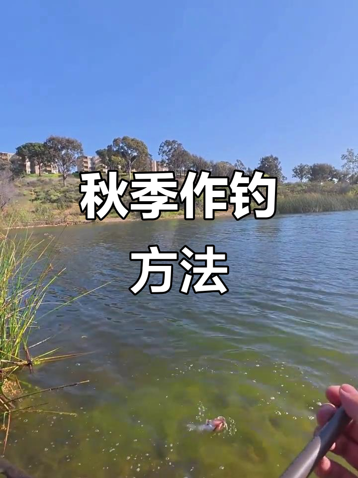 秋天河边钓鱼技巧(秋天野河钓鱼) 秋天河边钓鱼技巧(秋天野河钓鱼)