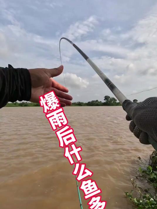大雨过后河流钓鱼技巧(大雨过后河流钓鱼技巧和方法) 大雨过后河流钓鱼技巧(大雨过后河流钓鱼技巧和方法)