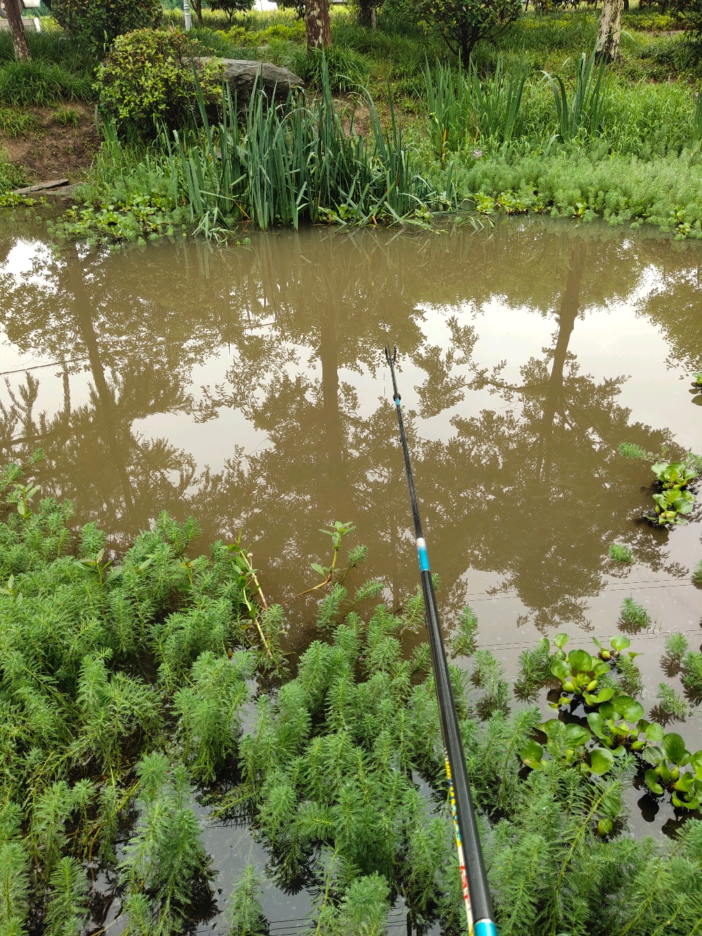 大雨过后河流钓鱼技巧(大雨过后河流钓鱼技巧和方法) 大雨过后河流钓鱼技巧(大雨过后河流钓鱼技巧和方法)