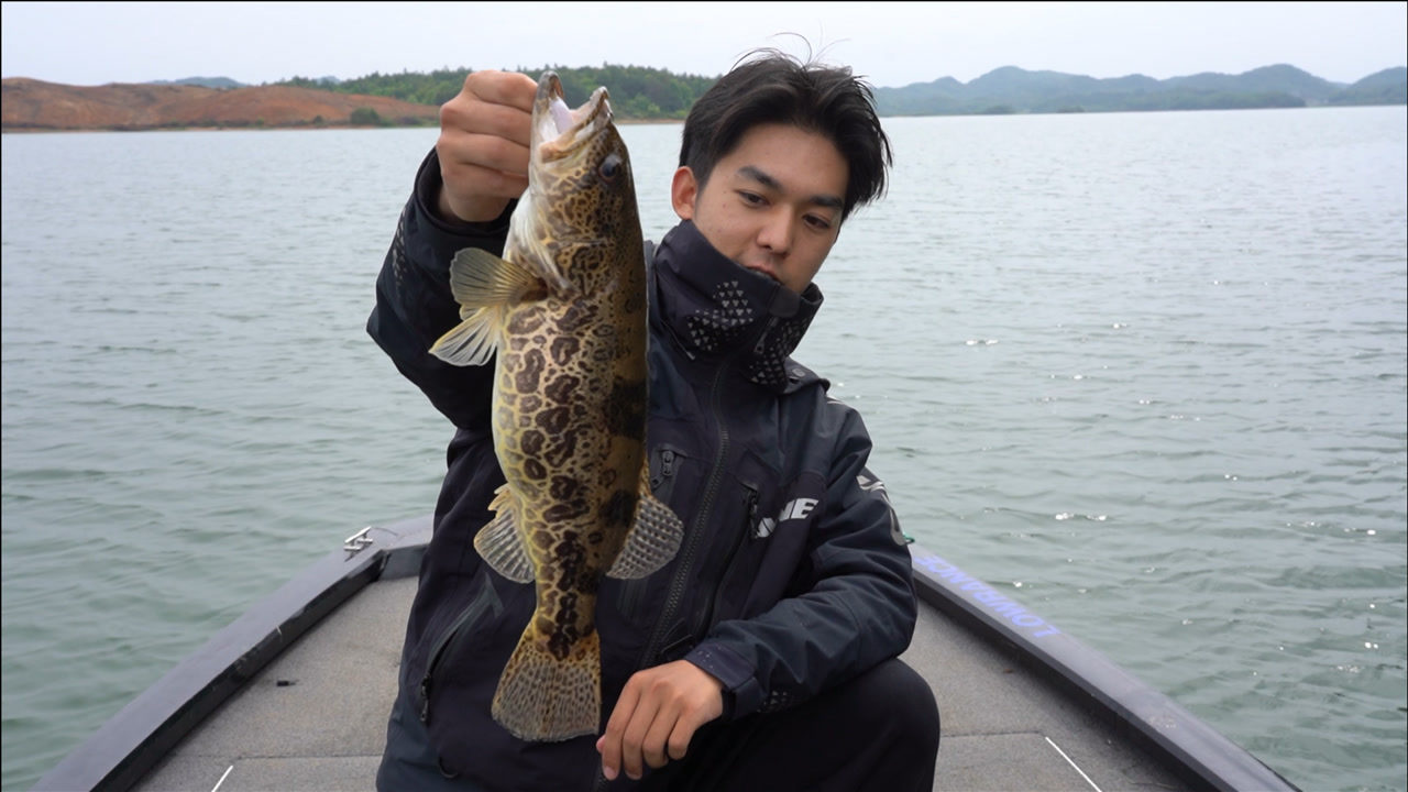 ewe路亚网(ewe路亚竿)