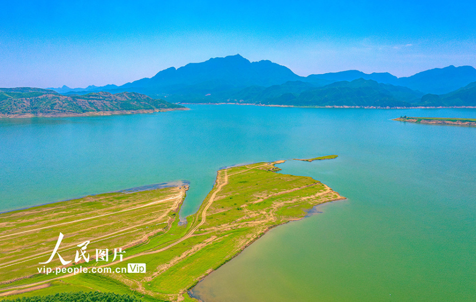 垣曲小浪底路亚(路亚翘嘴什么时间最好) 垣曲小浪底路亚(路亚翘嘴什么时间最好)