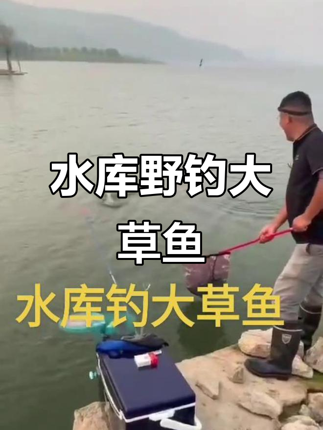 水库抓草草鱼技巧(水库怎样捕捞草鱼) 水库抓草草鱼技巧(水库怎样捕捞草鱼)