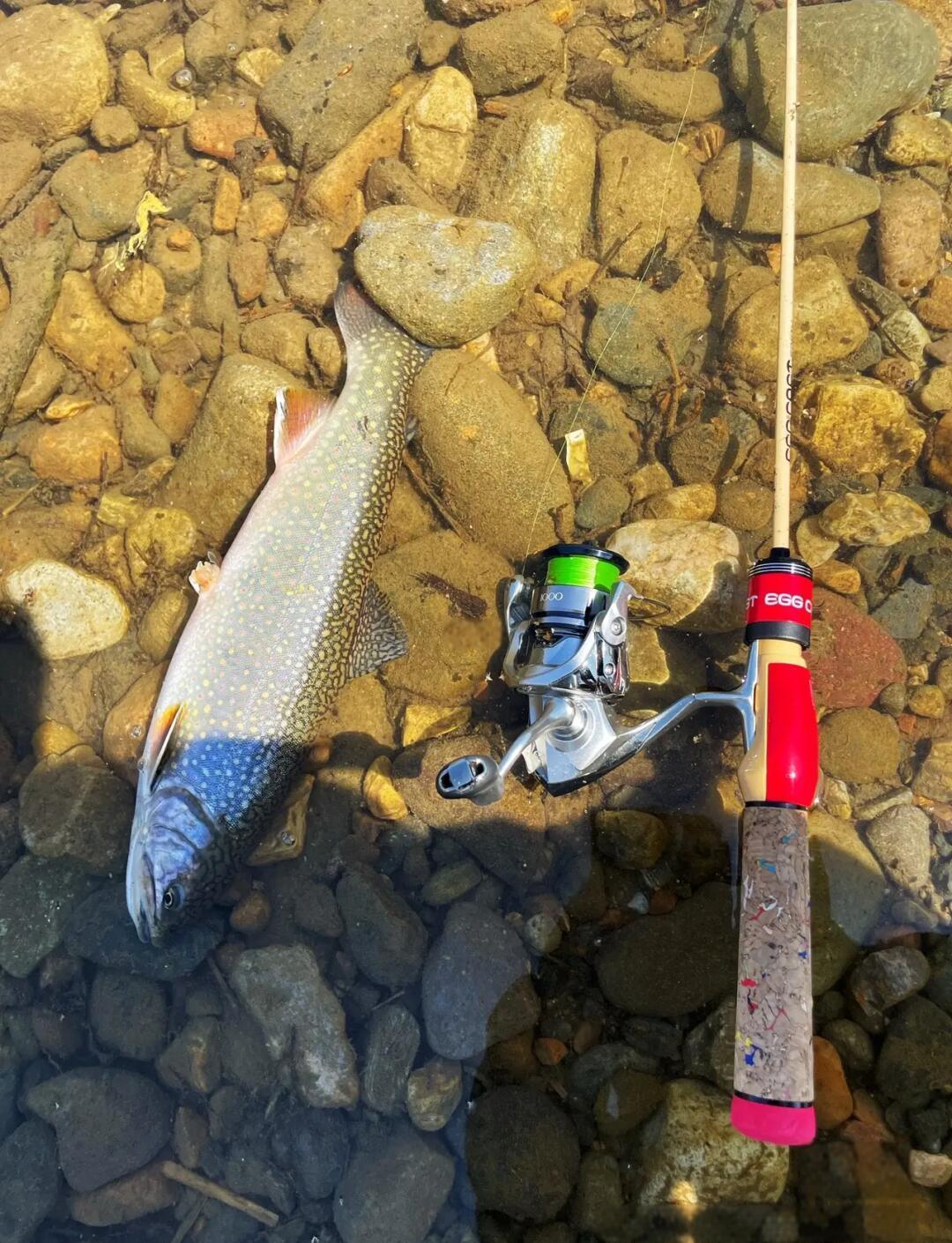 黑龙函水库路亚(黑龙江水库排名10大水库)