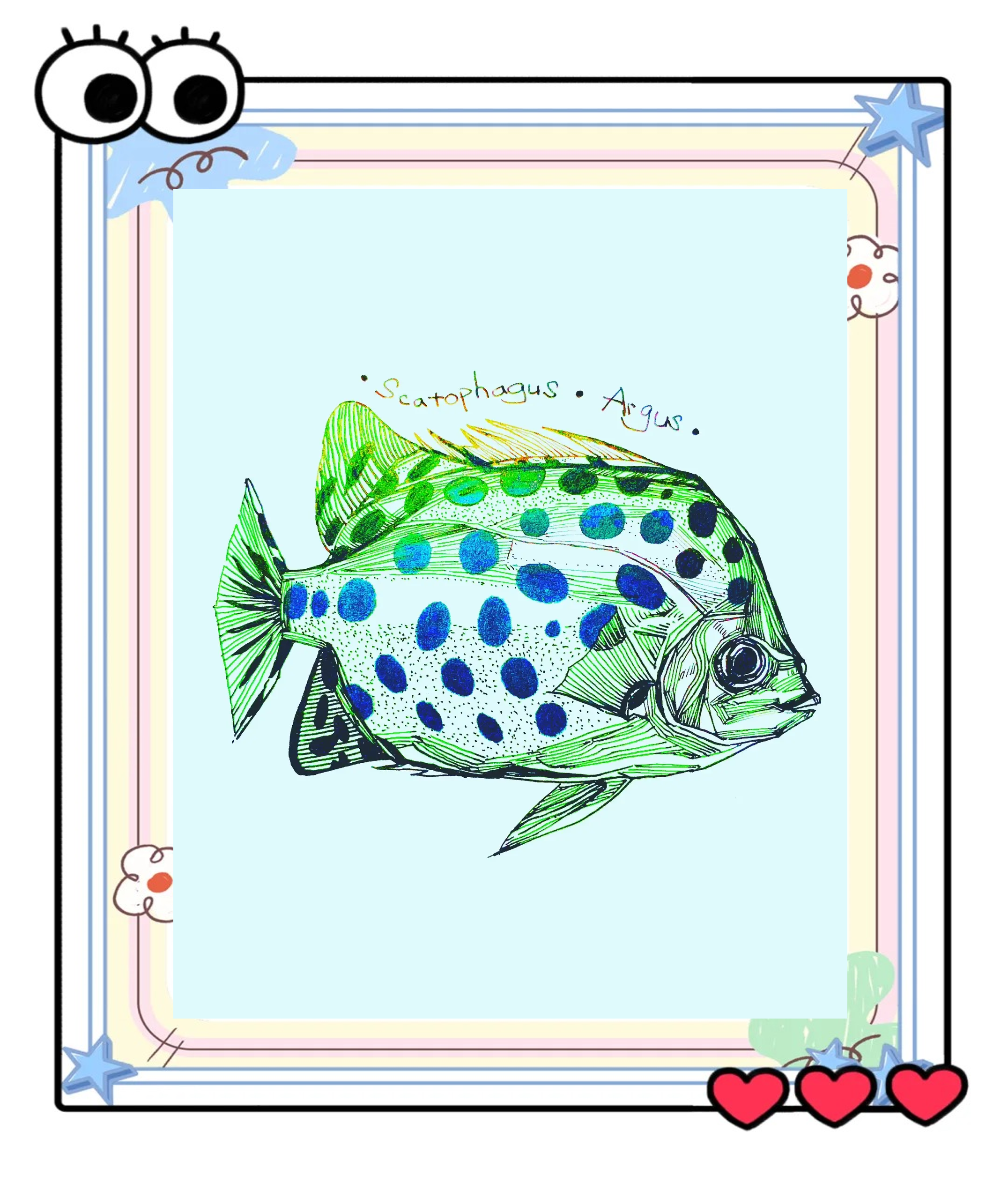 钓金鼓鱼的技巧(金鼓鱼钓法线组)