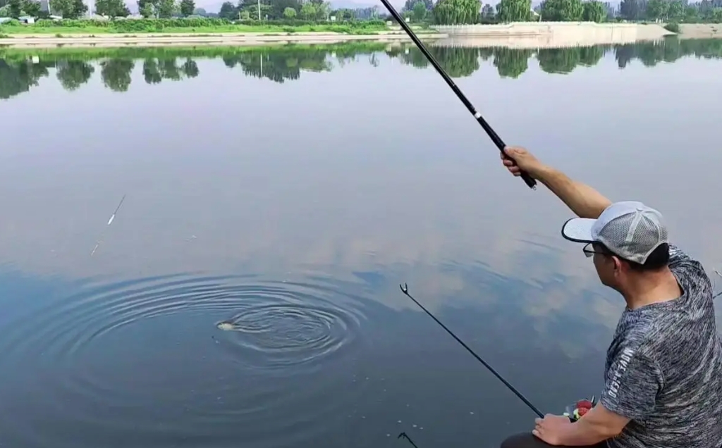 佛系钓鱼技巧(什么叫佛系养鱼) 佛系钓鱼技巧(什么叫佛系养鱼)