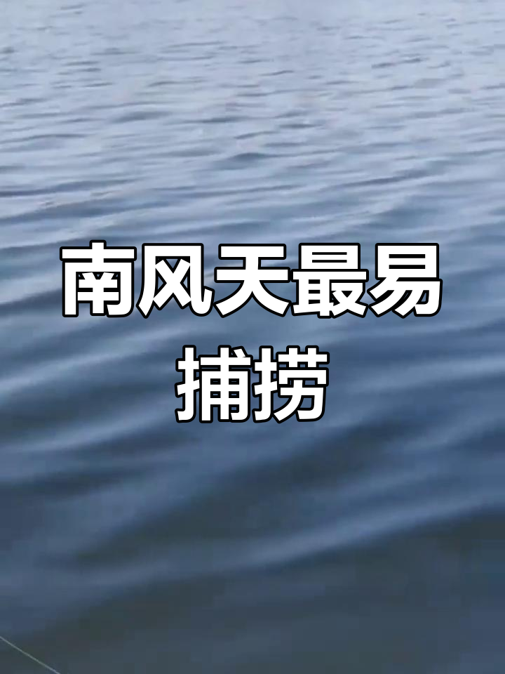 南风天野钓技巧(野钓钓台一般多大合适) 南风天野钓技巧(野钓钓台一般多大合适)