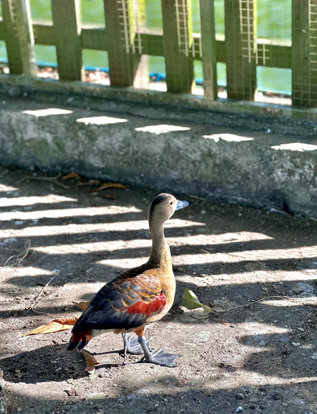 琼海钓鱼场所(琼海钓鱼的好地方2019) 琼海钓鱼场所(琼海钓鱼的好地方2019)