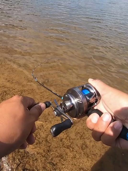 路亚罗非鱼温度(路亚罗非什么季节好) 路亚罗非鱼温度(路亚罗非什么季节好)