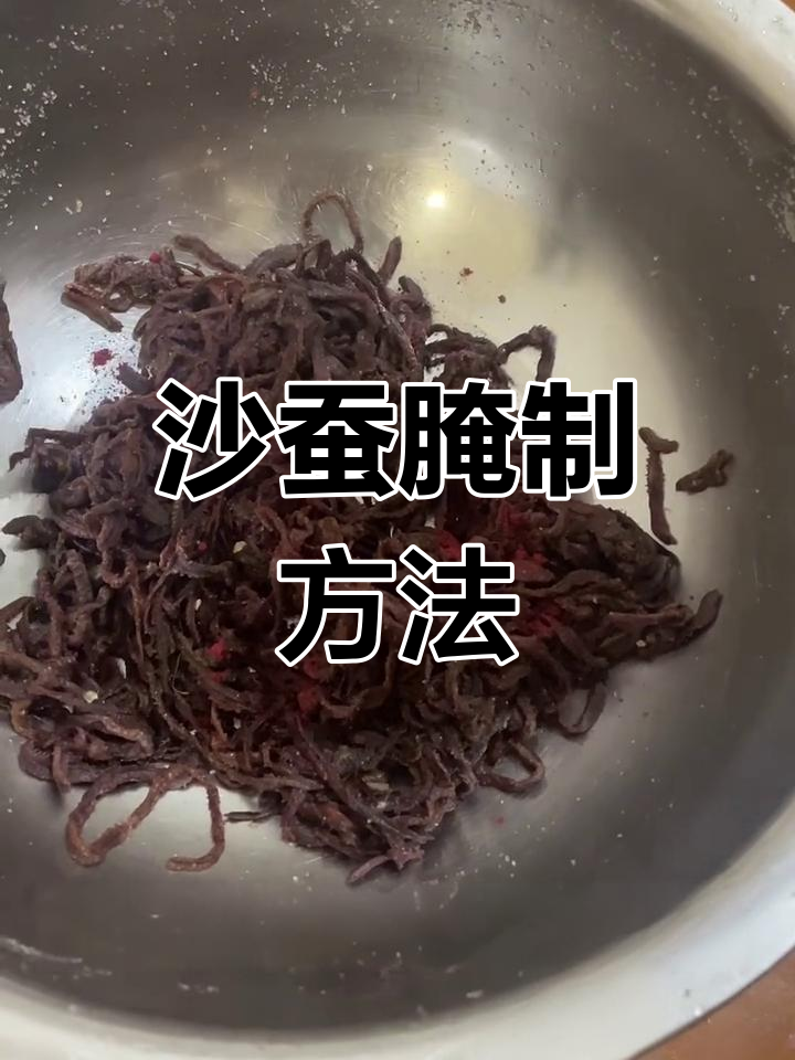 沙蚕海钓挂法(沙蚕钓海鱼)