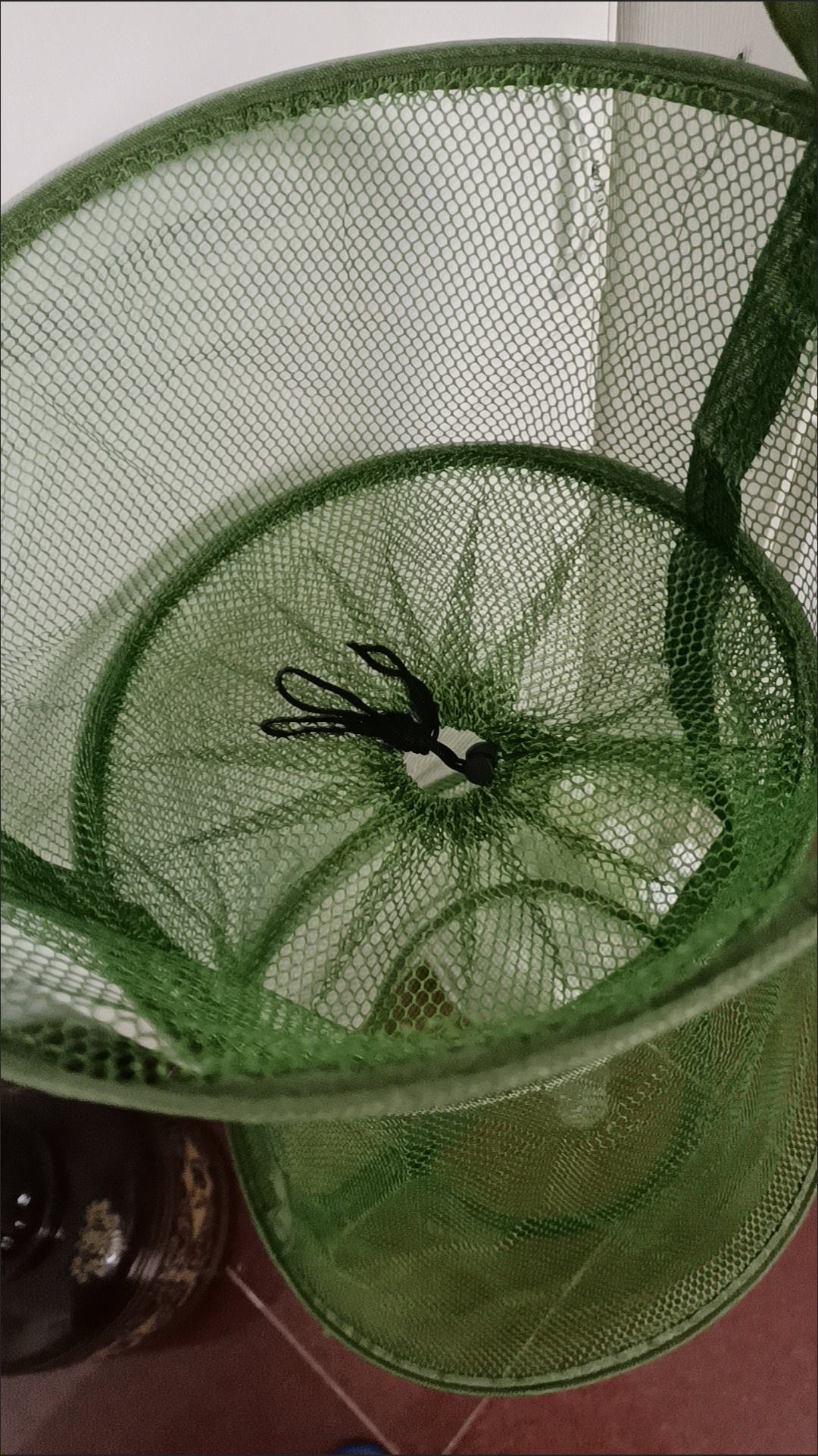 捞跳跳鱼渔具(跳跳鱼动画片全集免费观看)