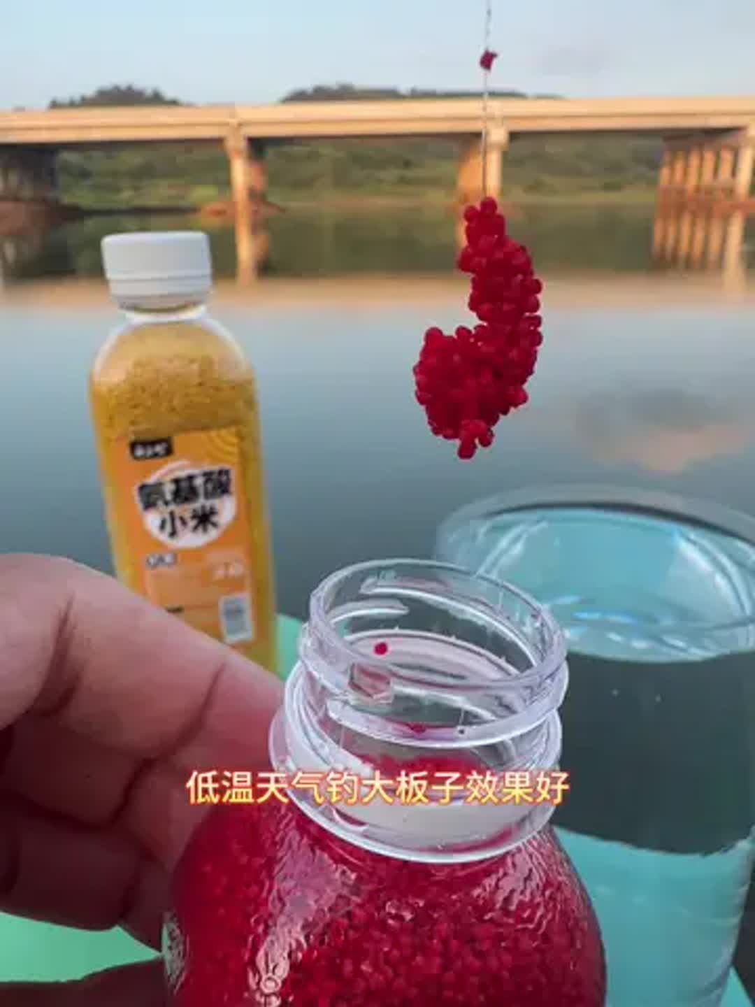 颗粒豆摇三摇钓鱼技巧(摇三摇钓鱼使用心得) 颗粒豆摇三摇钓鱼技巧(摇三摇钓鱼使用心得)