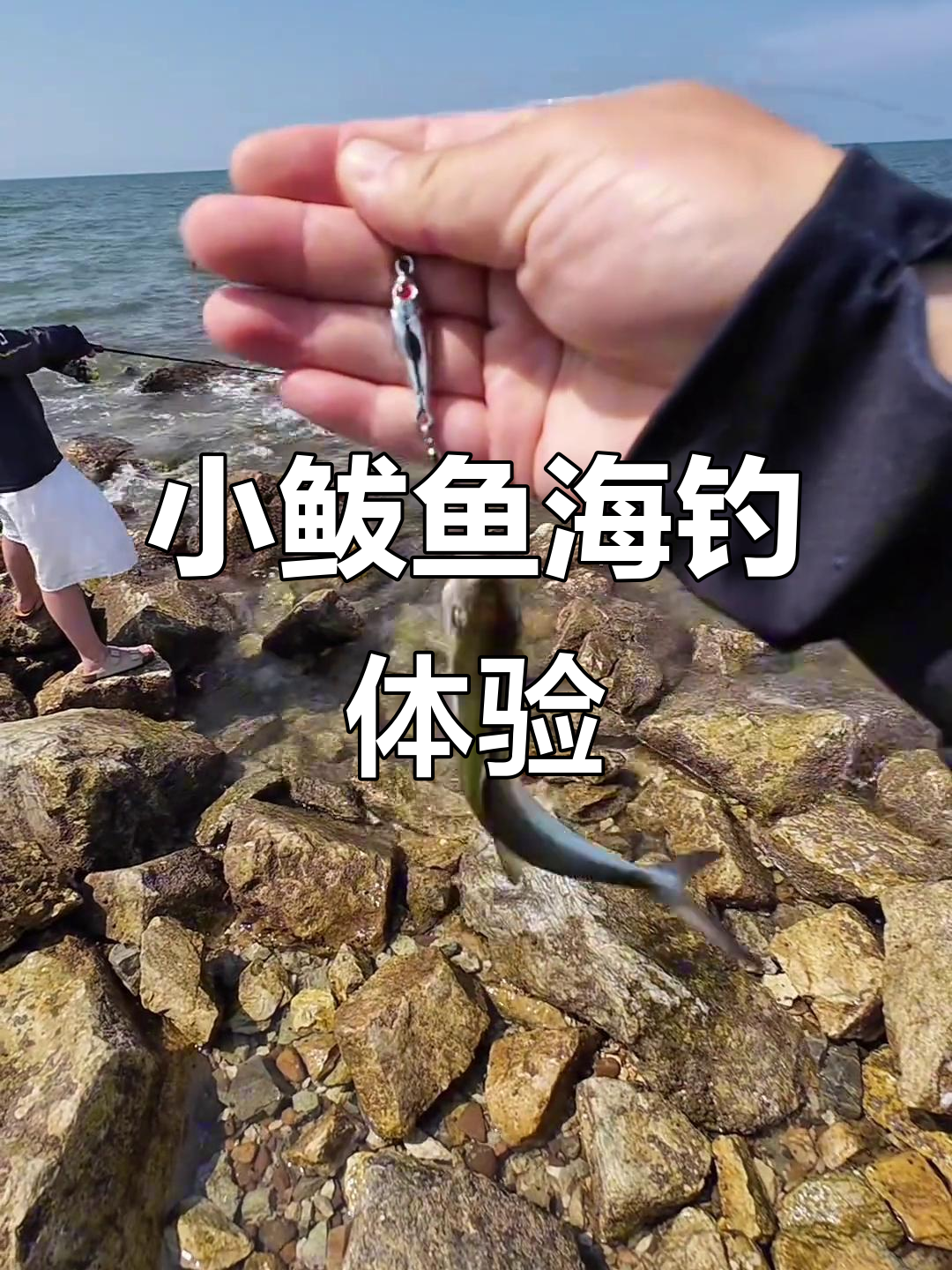 钓鲅鱼提竿技巧(钓鲅鱼的技巧与手法)