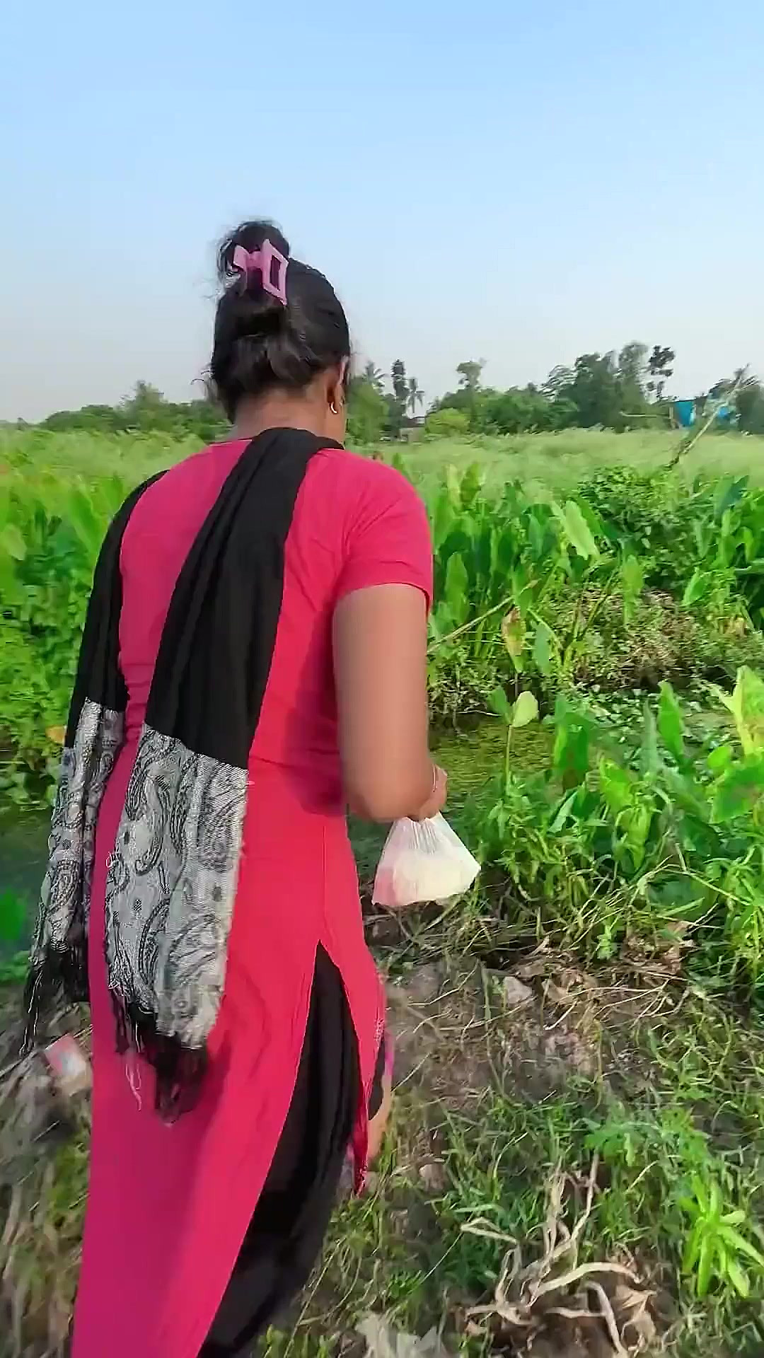 夏季沟渠打窝技巧(沟里钓鱼用什么打窝) 夏季沟渠打窝技巧(沟里钓鱼用什么打窝)