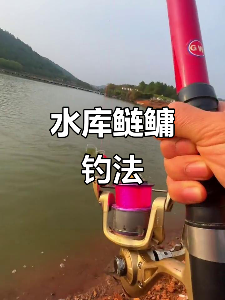海钓杆投杆技巧(钓鱼海杆调漂的正确方法) 海钓杆投杆技巧(钓鱼海杆调漂的正确方法)