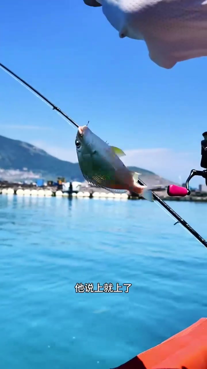 海钓为啥不上鱼(为什么海钓不取钩) 海钓为啥不上鱼(为什么海钓不取钩)