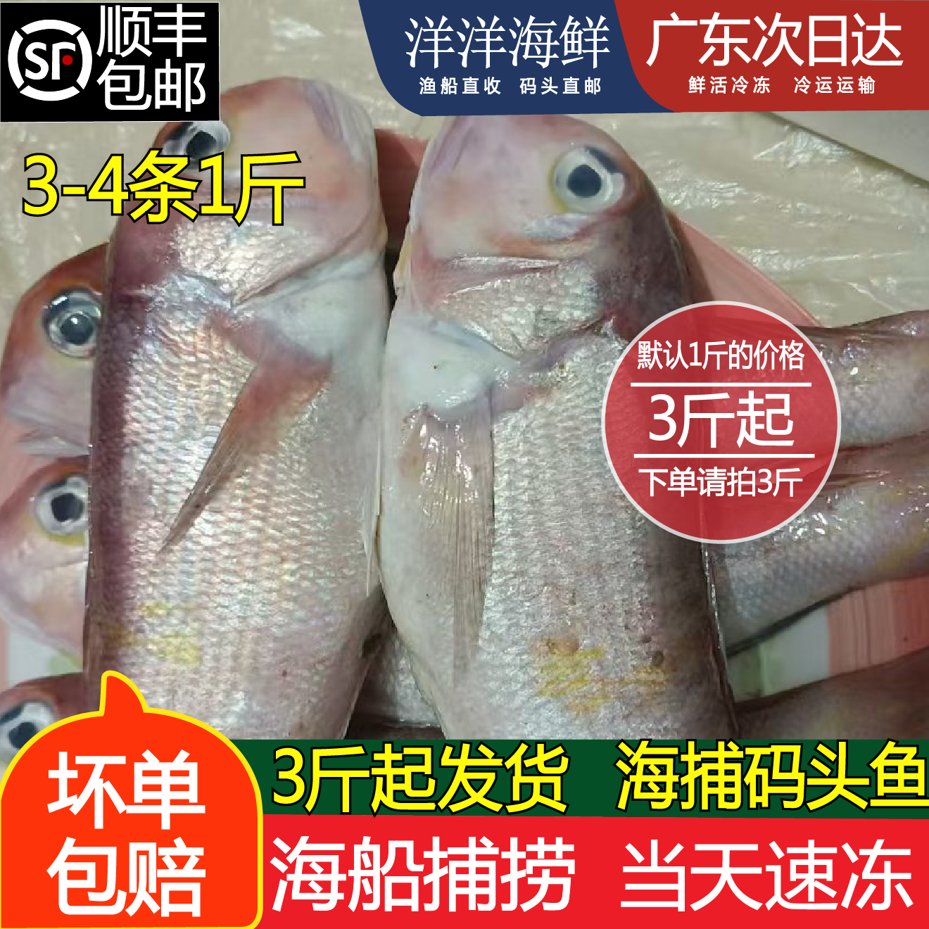 海钓为啥不上鱼(为什么海钓不取钩) 海钓为啥不上鱼(为什么海钓不取钩)