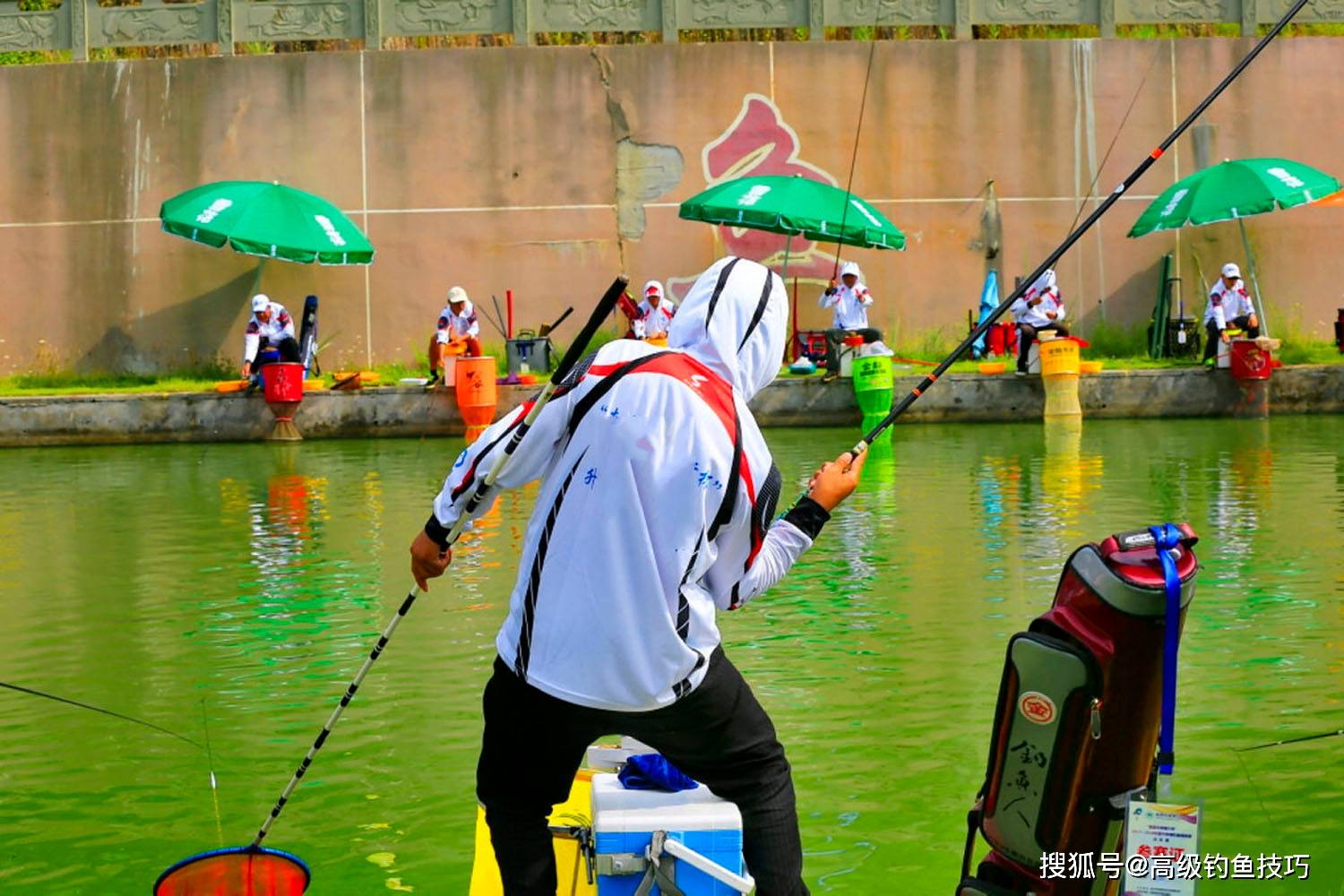 青丝钓鱼的方法和技巧(青丝如何编) 青丝钓鱼的方法和技巧(青丝如何编)