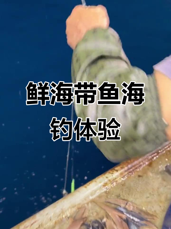 4号深海钓带(4号海夕钓多大的鱼) 4号深海钓带(4号海夕钓多大的鱼)