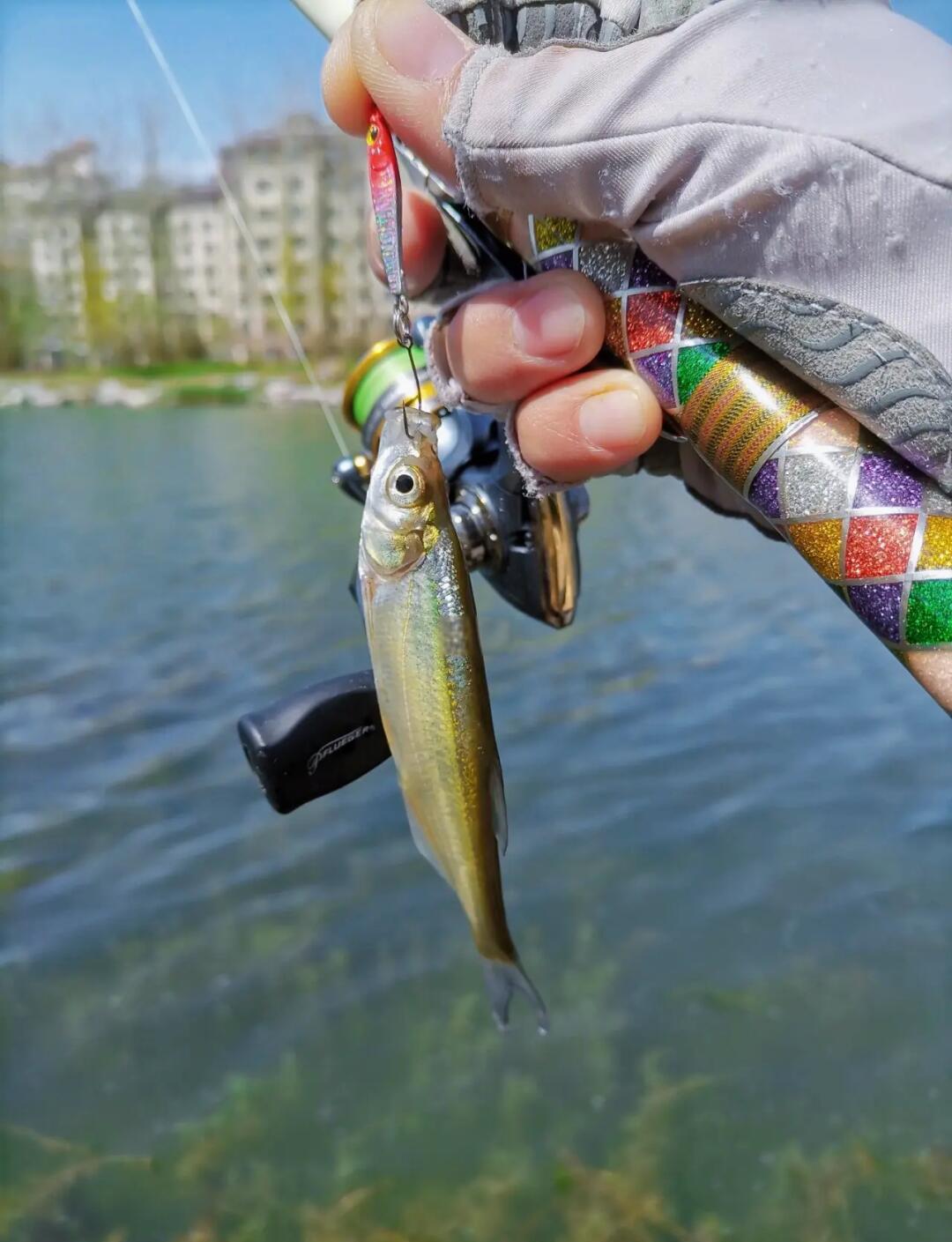 风向路亚(路亚风线什么意思) 风向路亚(路亚风线什么意思)