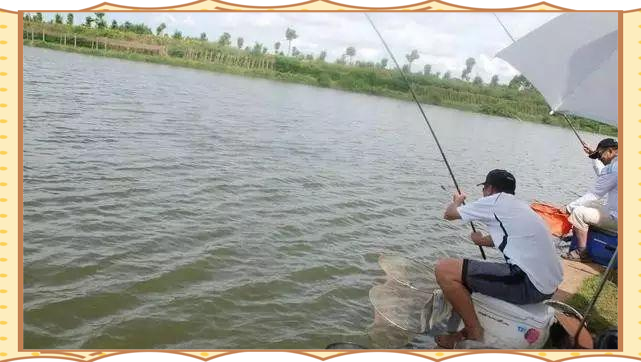 台钓野钓鱼技巧视频高清(台钓野钓鱼技巧视频高清版) 台钓野钓鱼技巧视频高清(台钓野钓鱼技巧视频高清版)
