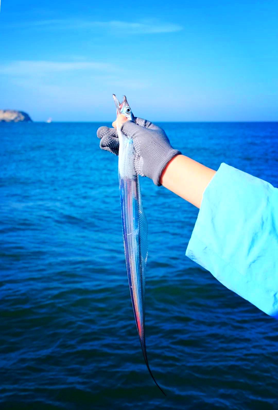 海驴道海钓视频(海驴岛自驾游游玩攻略) 海驴道海钓视频(海驴岛自驾游游玩攻略)