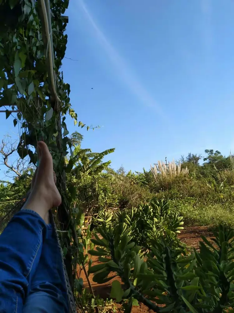 老姜海钓俱乐部(赶海捕鱼十大经典小说) 老姜海钓俱乐部(赶海捕鱼十大经典小说)