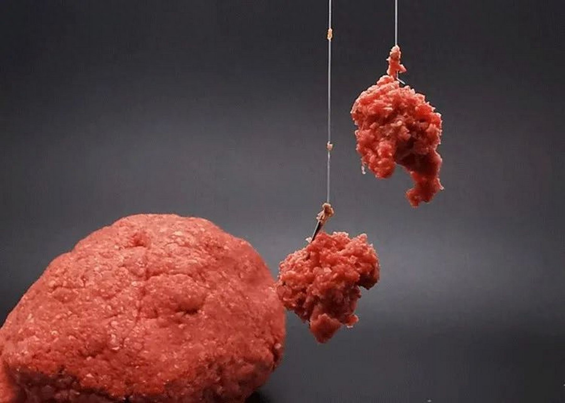 饵料附钩太多(饵料附钩性差怎么补救) 饵料附钩太多(饵料附钩性差怎么补救)