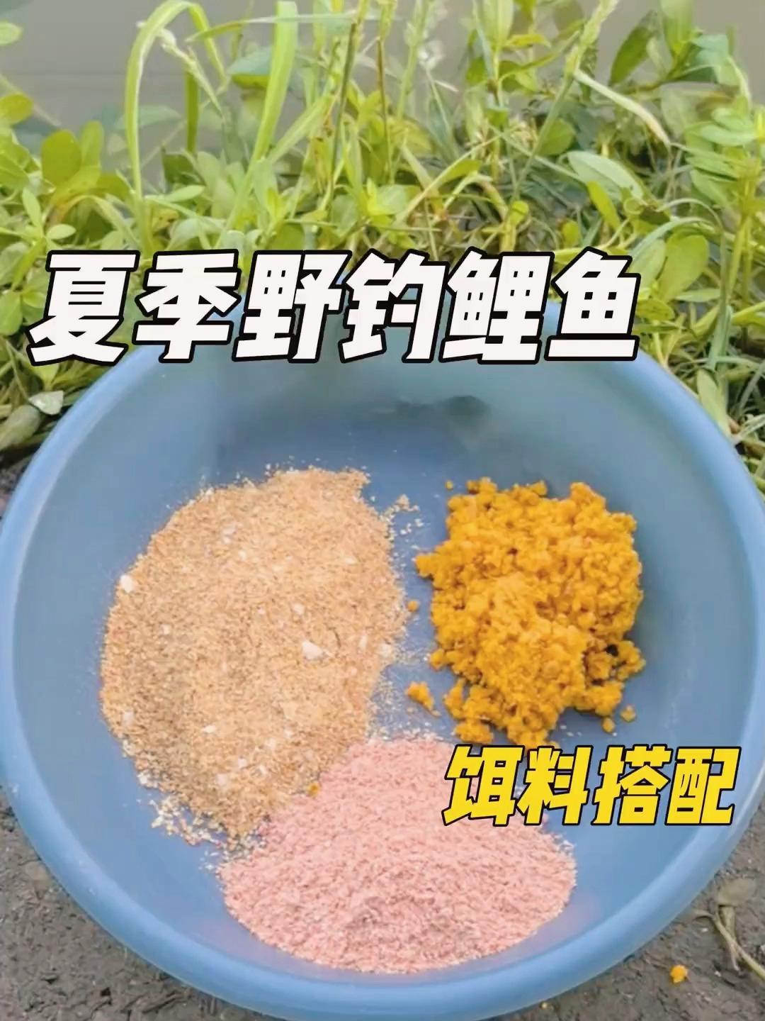 钓鲤鱼开饵技巧视频(钓鲤鱼开饵技巧视频讲解) 钓鲤鱼开饵技巧视频(钓鲤鱼开饵技巧视频讲解)