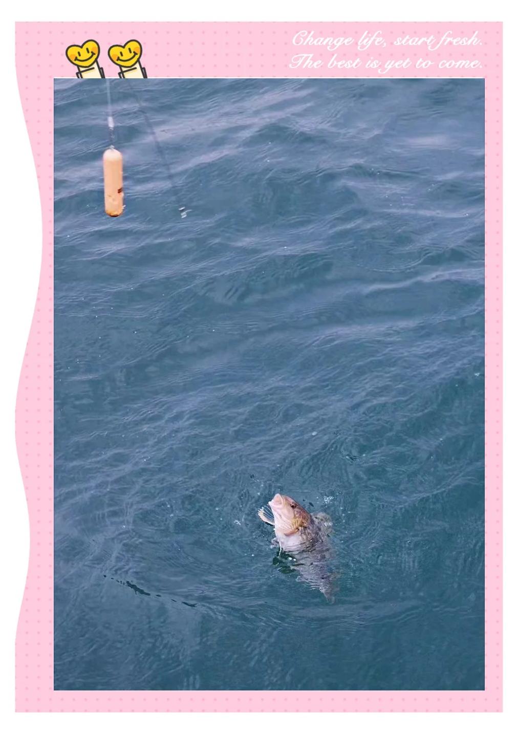 海钓岸边温度(水温多少度适合海边钓鱼) 海钓岸边温度(水温多少度适合海边钓鱼)