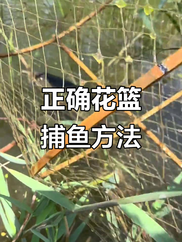 空接鲫鱼技巧(野钓不空军饵料如何开饵最好) 空接鲫鱼技巧(野钓不空军饵料如何开饵最好)