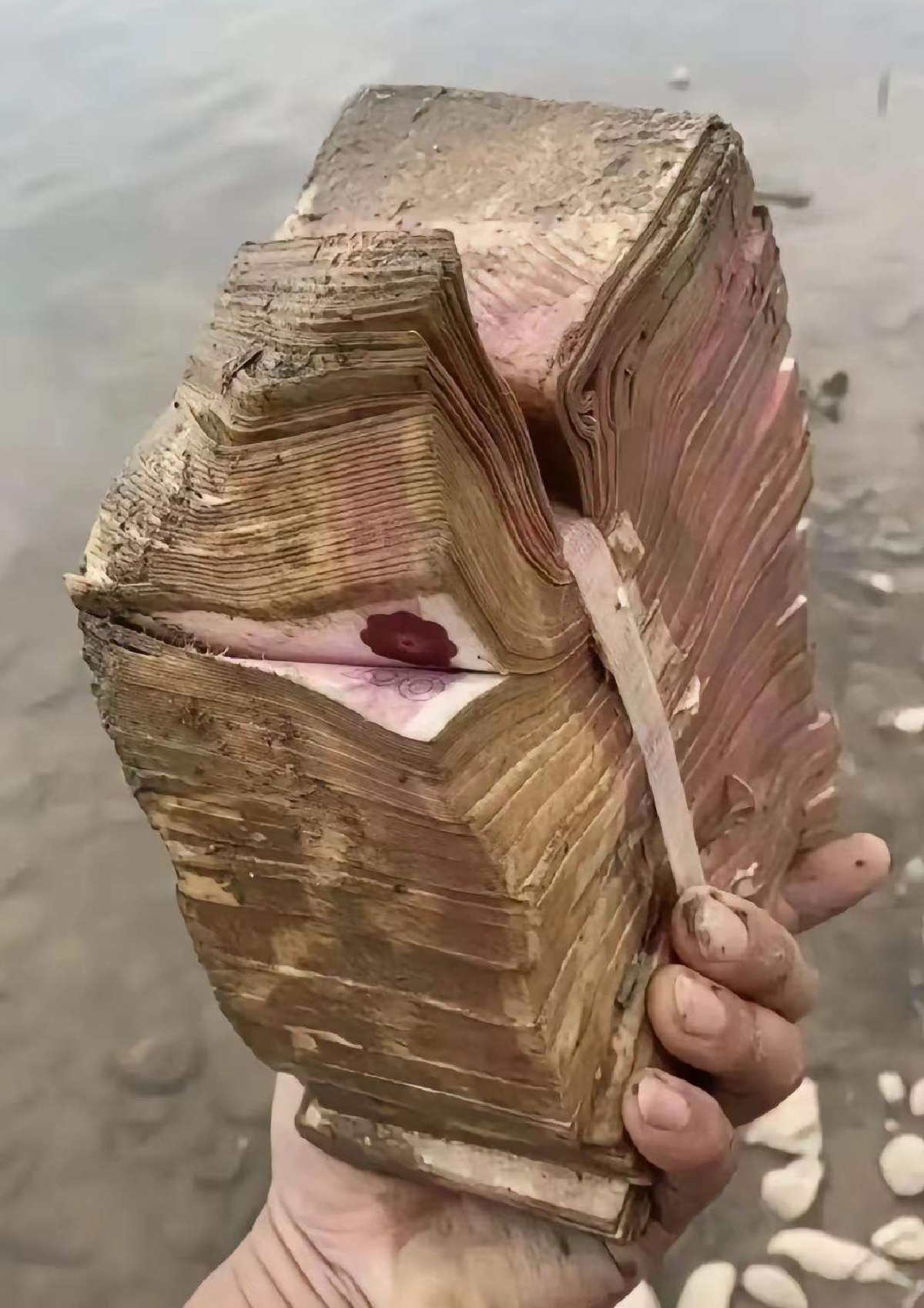 海钓鱼钩被融化(海钓钩子会溶解吗) 海钓鱼钩被融化(海钓钩子会溶解吗)