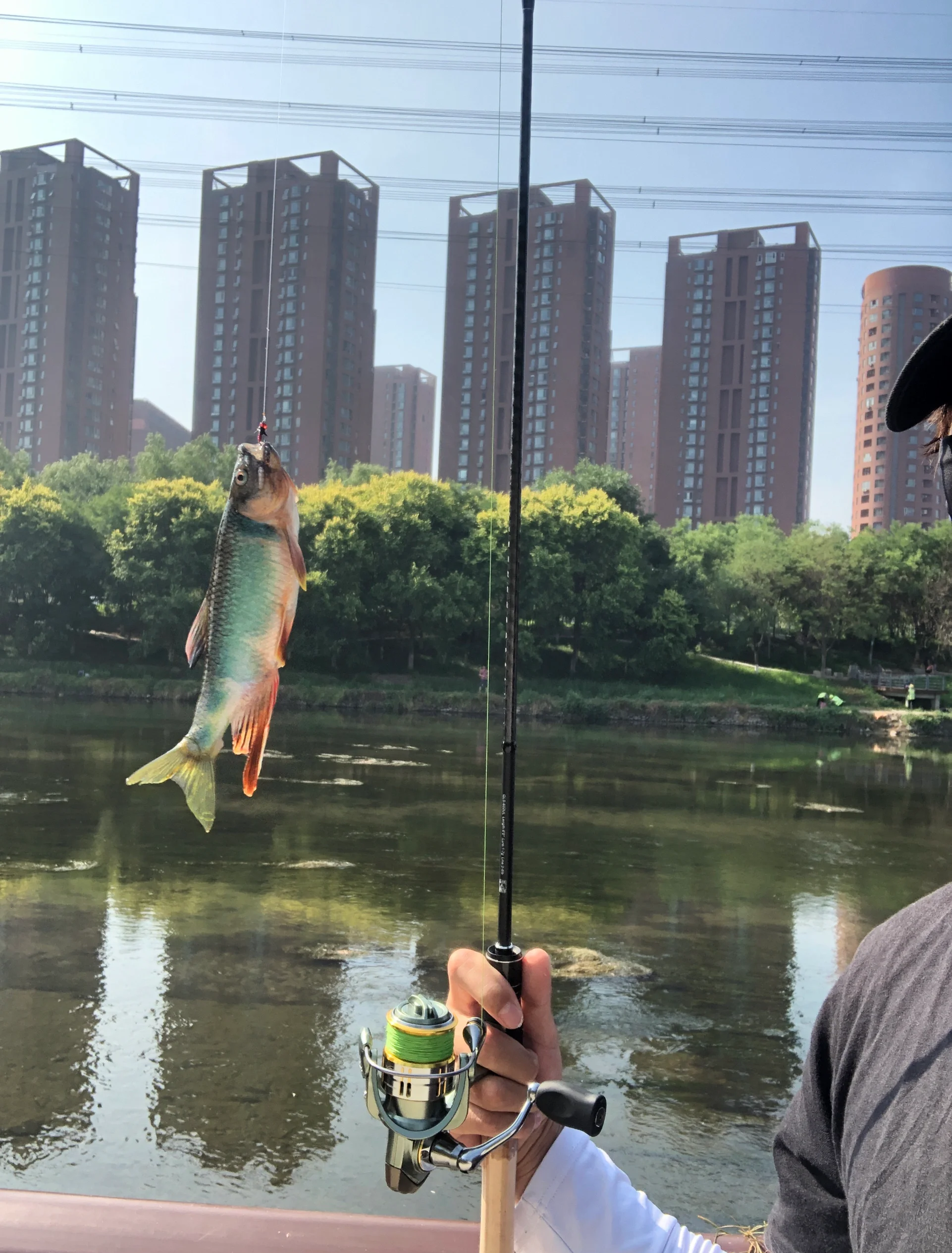 不同季节路亚(路亚季节表) 不同季节路亚(路亚季节表)