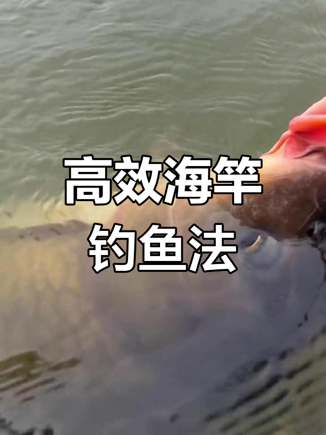 海钓用沉底吗(海钓用沉水线还是浮水线) 海钓用沉底吗(海钓用沉水线还是浮水线)