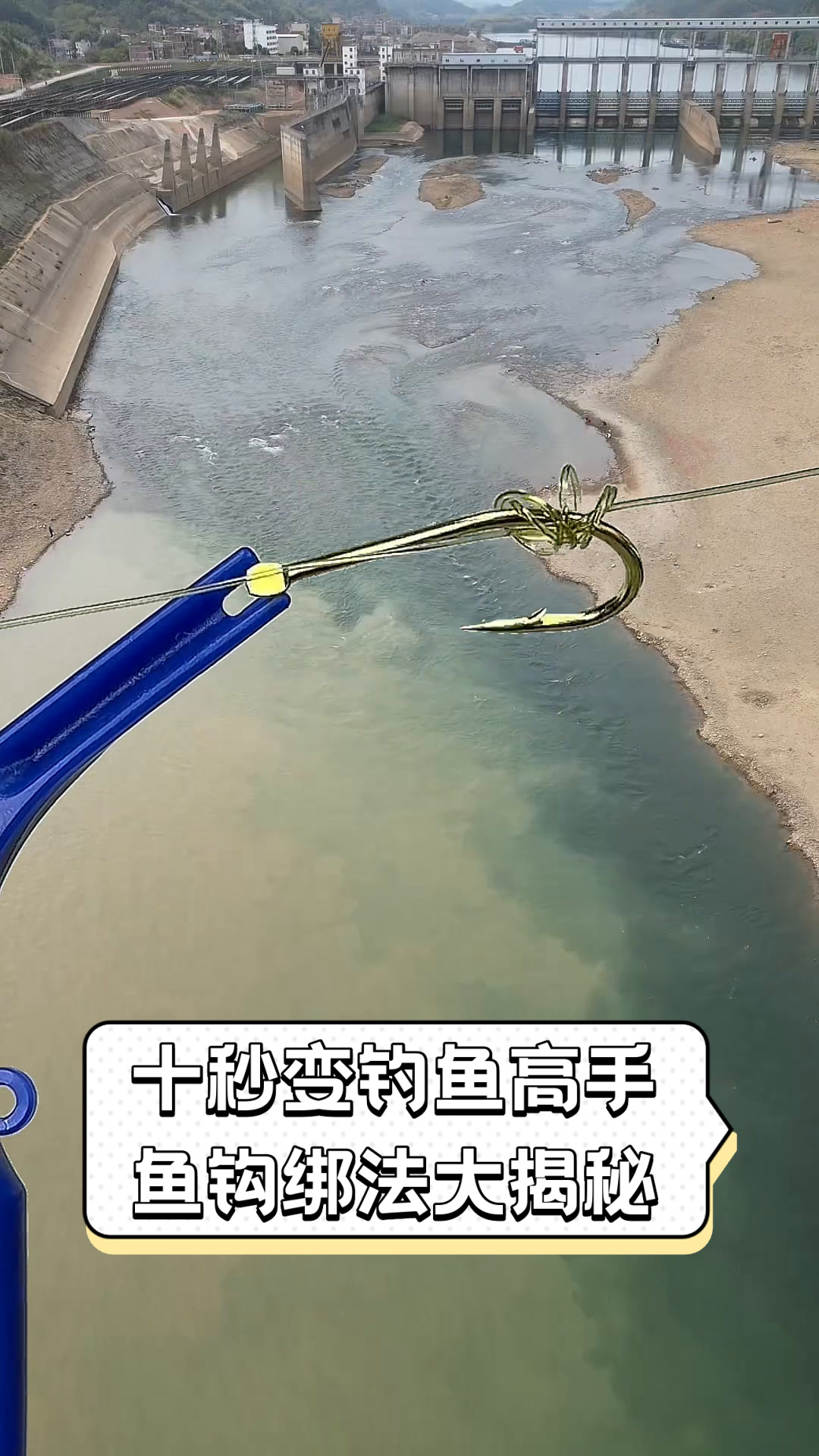 信阳空钩锚鱼技巧(空钩钓鱼视频高清) 信阳空钩锚鱼技巧(空钩钓鱼视频高清)